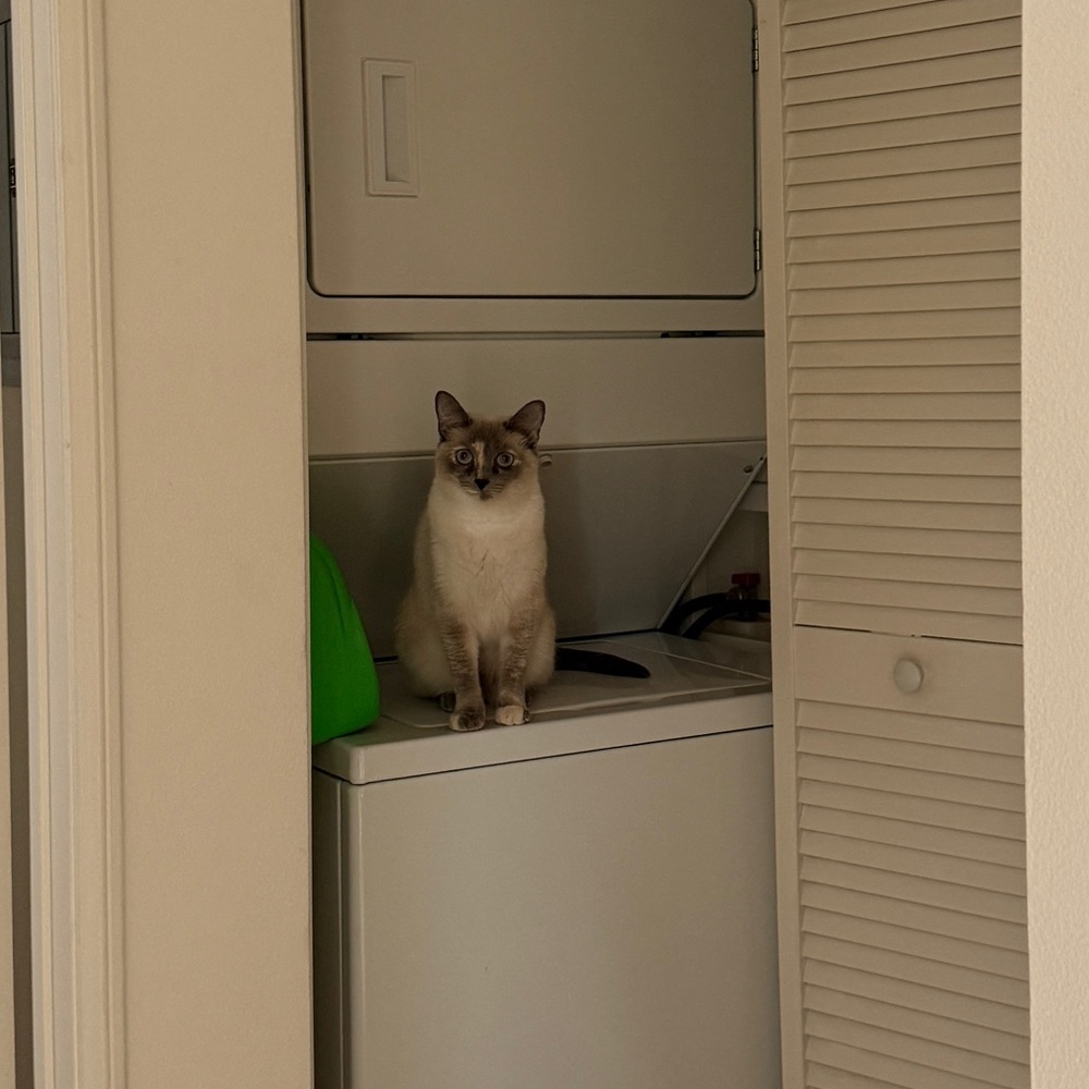 Meet your Posher, Zahra